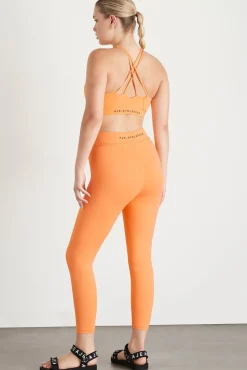 Braided Waist Legging 232