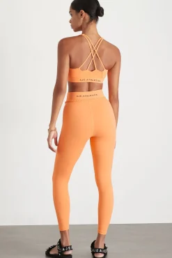 Braided Waist Legging 232