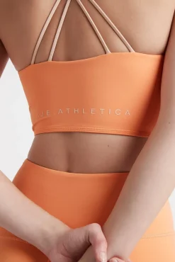 Cross Back Crop Top 312