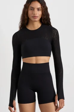 Long Sleeve Mesh Crop Top 356