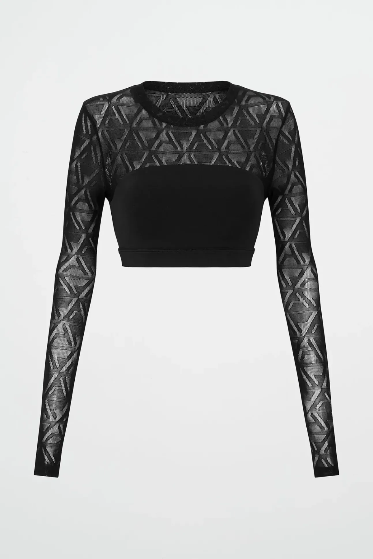 Long Sleeve Mesh Crop Top 356