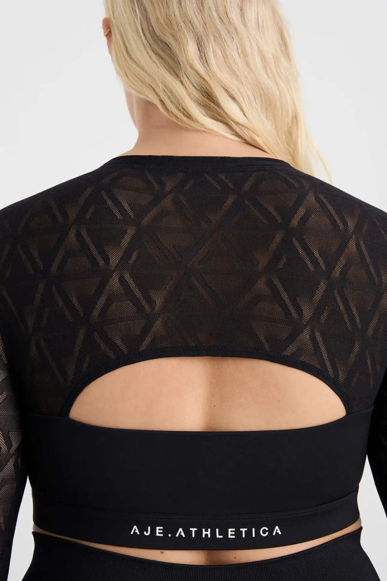 Long Sleeve Mesh Crop Top 356