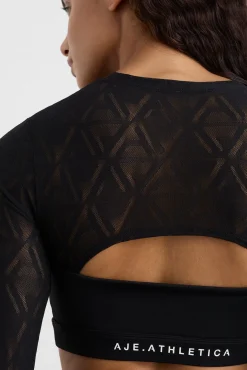 Long Sleeve Mesh Crop Top 356