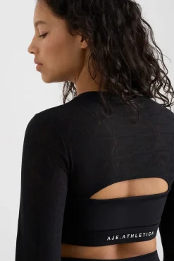 Long Sleeve Mesh Crop Top 356